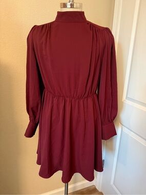 Express Long Sleeve High-Neck Dress in Burgundy